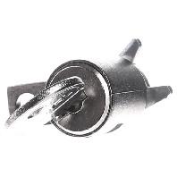 Rittal TS 8611.180 Veiligheidssluiting Metaal 1 stuk(s) - thumbnail