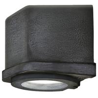 Tierlantijn Buitenlamp industrieelSizz loodgrijs - L.824.1.400 - thumbnail