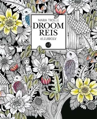 Droomreis kleurboek (Hardback)
