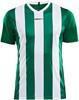 Craft 1905562 Progress Stripe Jersey M - Team Green/White - S