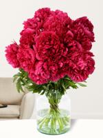 15 rode pioenrozen - Red Charm - thumbnail