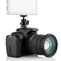 MOJOGEAR P05-C draaibare statiefkop met cold shoe - thumbnail