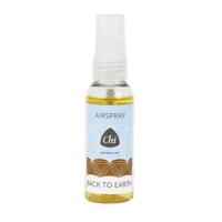 Chi Natural Life Back To Earth Airspray - thumbnail