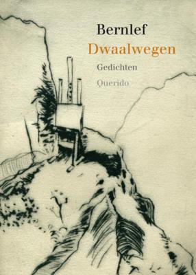 Dwaalwegen (Paperback)