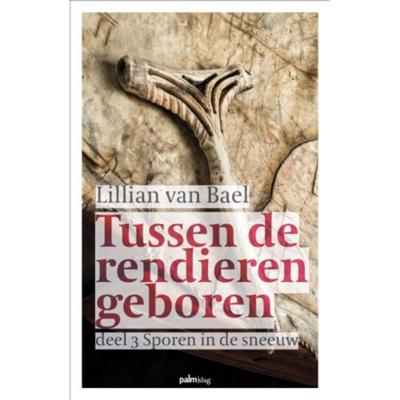 Sporen in de sneeuw (Paperback)