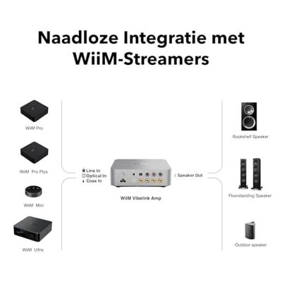 WiiM Vibelink Amp | 100W eindversterker met premium ESS 9039Q2M DAC en TI TPA3255 | Compatibel met WiiM Mini, Pro, Pro Plus en Ultra | RCA-, coaxiale en optische ingangen | Zilver