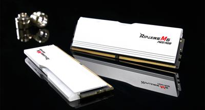 G.Skill Ripjaws M5 RGB F5-6000J2836G16GX2-RM5NRW geheugenmodule 32 GB 2 x 16 GB DDR5 G.Skill Ripjaws M5 RGB F5-6000J2836G16GX2-RM5NRW geheugenmodule 32 GB 2 x 16 GB DDR5