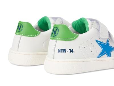 Naturino PINN - alle