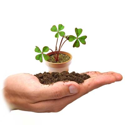 Doosje Geluk met Klavertjevier