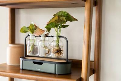 Fiskars Plant Care Stekstation - 1080912