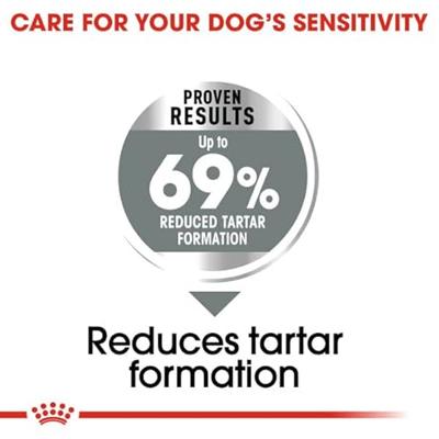 Royal Canin Dental Care Mini hondenvoer 2 x 8 kg Royal Canin Dental Care Mini hondenvoer 2 x 8 kg