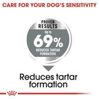 Royal Canin Dental Care Mini hondenvoer 2 x 8 kg - thumbnail