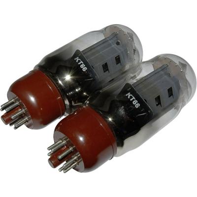 BTB Vertrieb KT 66 Elektronenbuis Fitting: Octal 1 paar