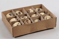 Paasdecoratie Kwarteleitjes 12st - thumbnail