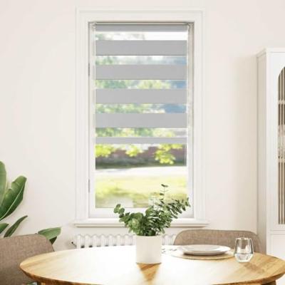 Zebra rolgordijn 60x150 cm stofbreedte 55,9 cm lichtgrijs Zebra rolgordijn 60x150 cm stofbreedte 55,9 cm lichtgrijs