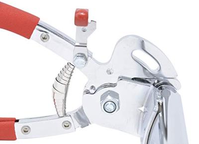 Regur 60720 Speciale tang 1 stuk(s)