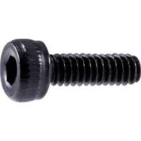 TOOLCRAFT M2 x 6mm TO-5661774 Cilinderkopschroeven M2 6 mm Binnenzeskant (inbus) DIN 912 Staal 100 stuk(s) - thumbnail