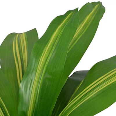 Kunst dracena plant met pot 90 cm groen