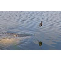 PolePosition Cs System Eva Actionpack Weed 121 gr 4,3oz - thumbnail