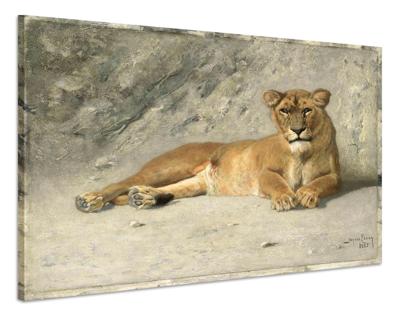 Schilderij - Jan van Essen, Rustende Leeuwin, 80x60cm. 1885