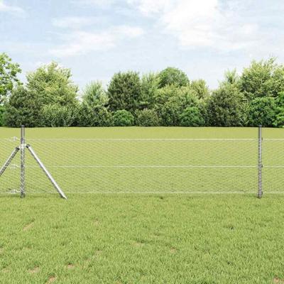 VidaXL Afrasteringspaal zilver 10 x 0,4 m (25 mm gaas) staal VidaXL Afrasteringspaal zilver 10 x 0,4 m (25 mm gaas) staal