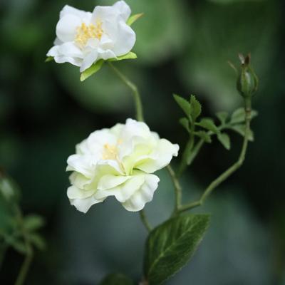 Wilde Rozen Kunsttak 71cm Groen