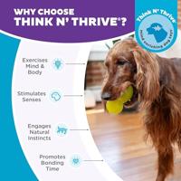 Outward Hound Double-Tuff L Groen - thumbnail