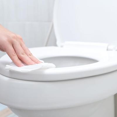 Toiletbrilreiniger tork s5 premium 525ml