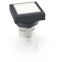 RAFI 1.30.070.201/1002 1.30.070.201/1002 Verlichte druktoets (l x b x h) 24.95 x 24.95 x 26.35 mm 1 stuk(s) - thumbnail