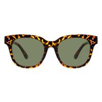 Zonnebril montana groen g15 polar glas glans turt - thumbnail