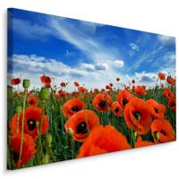 Schilderij - Klaprozen close up, blauw/groen/rood, 4 maten, premium print - thumbnail