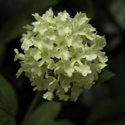 Viburnum kunstbloem 65cm groen