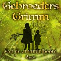 Van de amandelboom - thumbnail