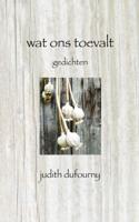 Wat ons toevalt - Judith Dufourny - Paperback (9789402114591) - thumbnail