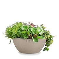 LECHUZA CUBETO Plantenpot Vrijstaand Polypropyleen (PP) Bruin, Zand Binnen/buiten - thumbnail