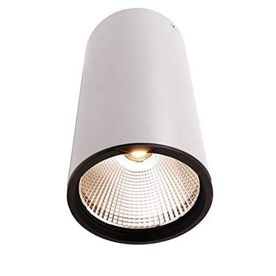 Deko Light 348063 Luna Plafondopbouwarmatuur LED Energielabel: G (A - G) 40.2 W Wit