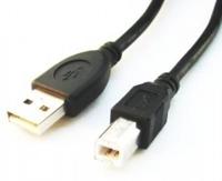 Gembird CCP-USB2-AMBM-6 USB-kabel - thumbnail
