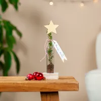 Kerstboomstek 'Jingle' - thumbnail