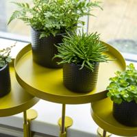 Esschert Design plantenblad met klem rond l goudkleurig - thumbnail