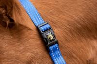Excellent Horse Premium Halster XS Mini Foal Blauw - thumbnail