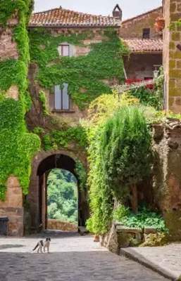 Alexsar Art Tuindoek groen pleintje 90x140cm