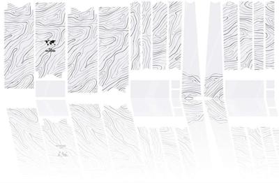 Unleazhed Unscratch - Gravelbike frame protection film BPG01 Topolines black