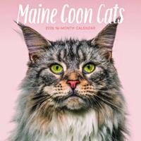 Maine Coon Kalender 2026 - thumbnail
