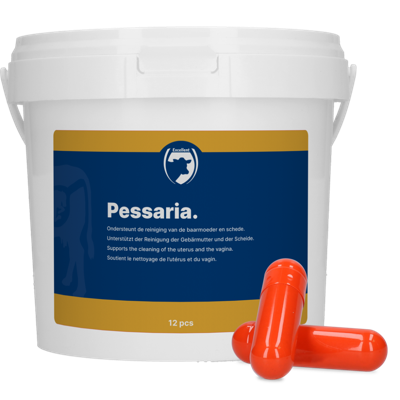 Excellent Pessaria Capsule 12 st Excellent Pessaria Capsule 12 st