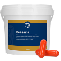 Excellent Pessaria Capsule 12 st - thumbnail