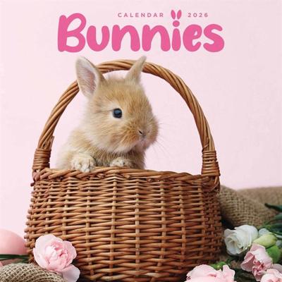 Bunnies Kalender 2026 Mini