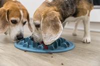 TRIXIE VOERMAT SLOWFEEDING PILLARS TPE BLAUW 35X35 CM - thumbnail