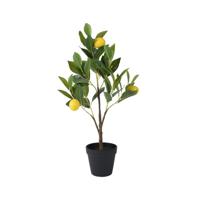 Decoris Kunstplant citroen boom h60cm - thumbnail