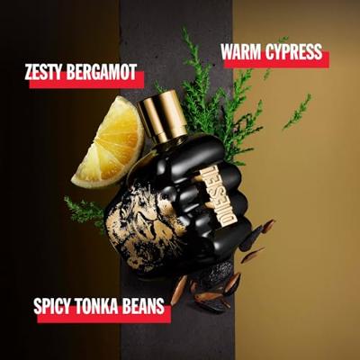 Diesel Diesel Spirit of the Brave Eau de Toilette 50ml