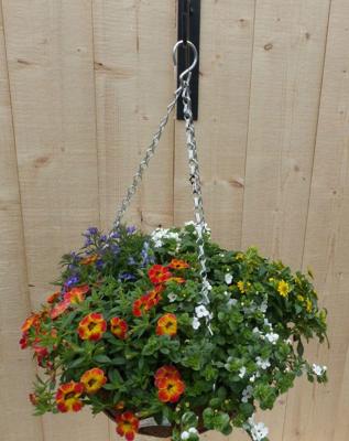 Hanging basket zomerbloeiers kleurenmix h25 cm Warentuin Natuurlijk - Warentuin natuurlijk